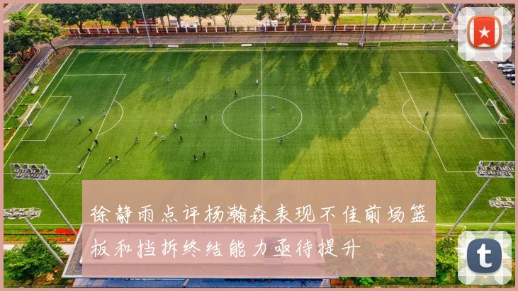 徐静雨点评杨瀚森表现不佳前场篮板和挡拆终结能力亟待提升